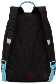 Школьный рюкзак Grizzly RG-263-2