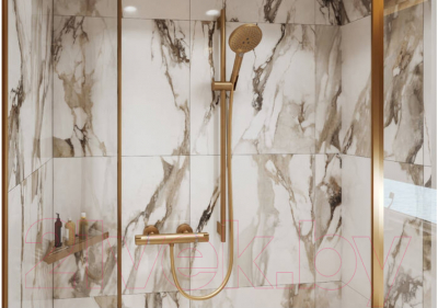 Лейка ручного душа Hansgrohe Raindance 26530140