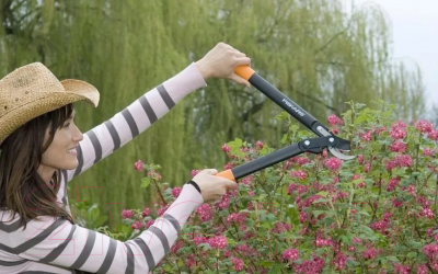 Сучкорез механический Fiskars 1002104