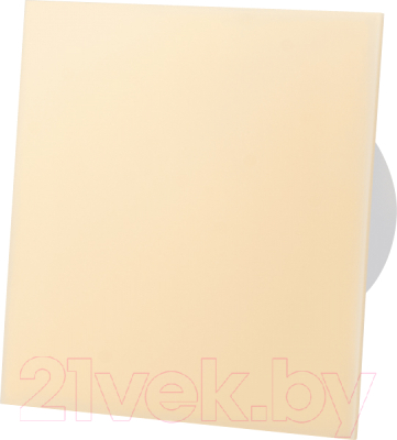 Вентилятор накладной AirRoxy dRim 125RMS-C165 - фото