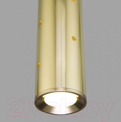 Потолочный светильник Elektrostandard 50214/1 LED (золото)