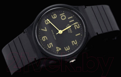 Часы наручные мужские Casio MQ-24-1B2