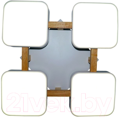 Потолочный светильник Natali Kovaltseva Led Lamps / 81323