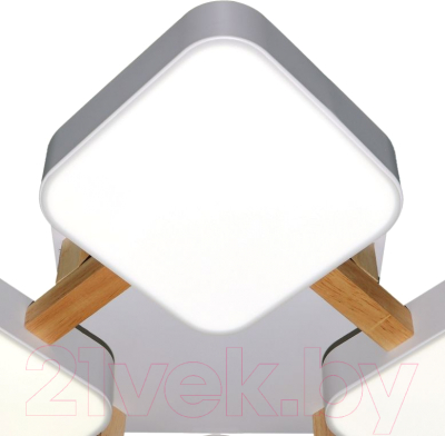 Потолочный светильник Natali Kovaltseva Led Lamps / 81323