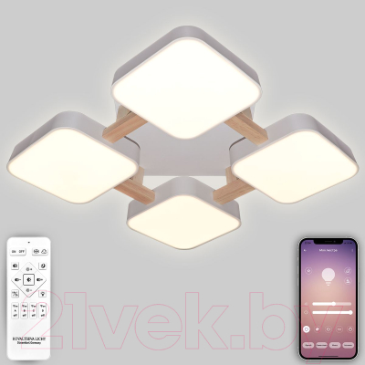 Потолочный светильник Natali Kovaltseva Led Lamps / 81323