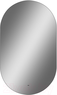 Зеркало Континент Fleur Led 60x100 - фото