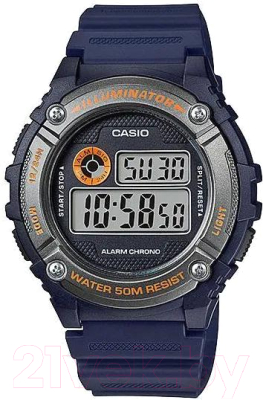 Часы наручные мужские Casio W-216H-2B - фото