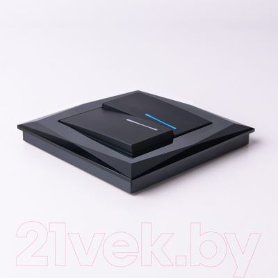 Выключатель Werkel W1122108 / a051598