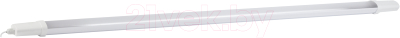 Светильник линейный ЭРА SPP-3-40-6K-P / Б0047189 - фото