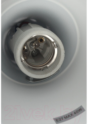 Настольная лампа ЭРА N-123-Е27-40W-BG / Б0047198