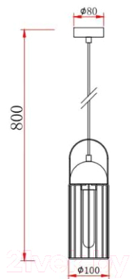 Потолочный светильник Rivoli Anemon 5062-201 / Б0047359