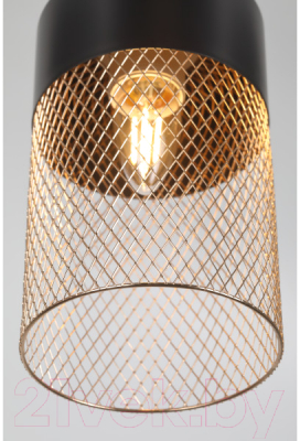 Потолочный светильник Rivoli Hulda 9068-201 / Б0047523