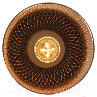 Потолочный светильник Rivoli Hulda 9068-201 / Б0047523