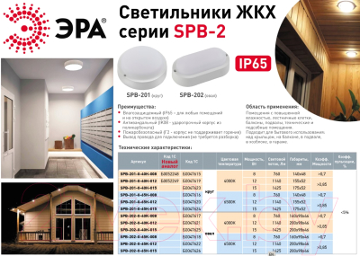 Светильник ЖКХ ЭРА SPB-201-0-40К-008 / Б0047615