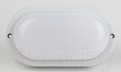 Светильник ЖКХ ЭРА SPB-202-0-65K-008 / Б0047618