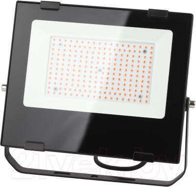 Прожектор ЭРА FITO-100W-RB-LED / Б0046369 - фото