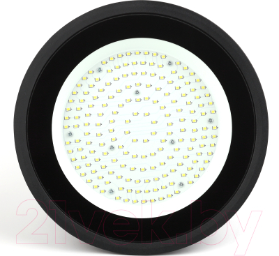 Светильник для подсобных помещений ЭРА SPP-402-0-50K-100 / Б0046668