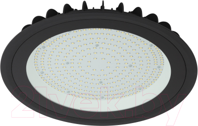 Светильник ЖКХ ЭРА SPP-402-0-50K-200 / Б0046670 - фото