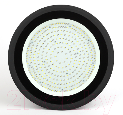 Светильник ЖКХ ЭРА SPP-402-0-50K-200 / Б0046670