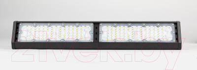 Светильник ЖКХ ЭРА SPP-404-0-50K-100 / Б0046676