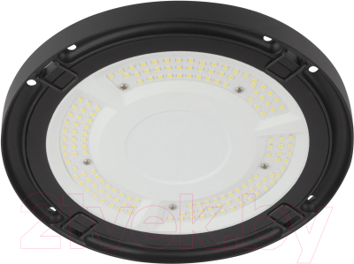 Светильник ЖКХ ЭРА SPP-411-0-50K-100 / Б0047163 - фото
