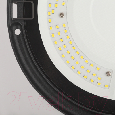 Светильник ЖКХ ЭРА SPP-411-0-50K-100 / Б0047163