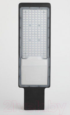 Светильник уличный ЭРА SPP-503-0-50K-120 / Б0047166