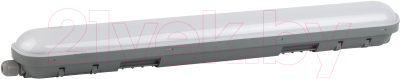 Светильник линейный ЭРА SPP-201-0-65K-018 / Б0047173 - фото