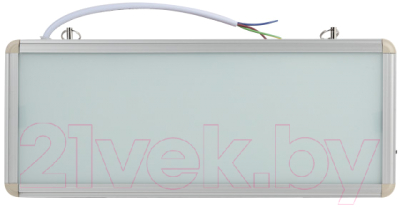 Светильник аварийный ЭРА SSA-101-0-20 / Б0044387 - фото