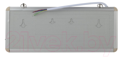 Светильник аварийный ЭРА SSA-101-0-20 / Б0044387