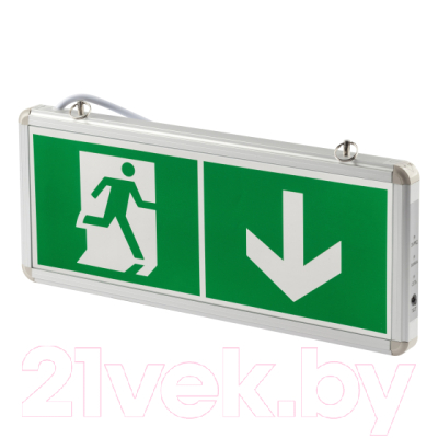 Светильник аварийный ЭРА SSA-101-0-20 / Б0044387