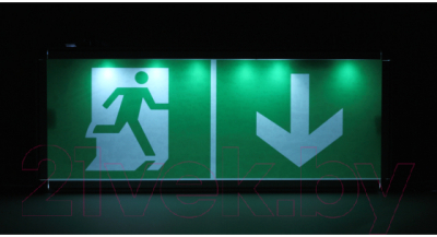 Светильник аварийный ЭРА SSA-101-0-20 / Б0044387