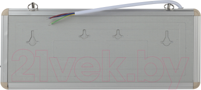 Светильник аварийный ЭРА SSA-101-1-20 / Б0044388