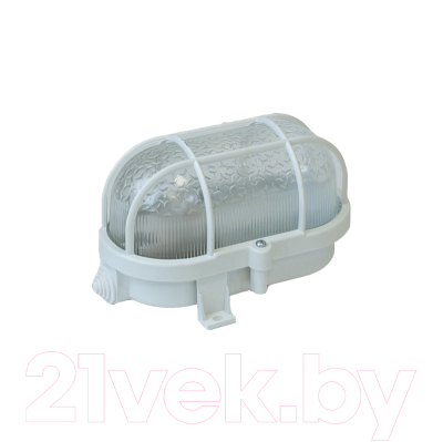 Светильник ЖКХ ЭРА Гранат / Б0052015 - фото