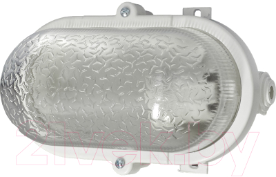 Светильник ЖКХ ЭРА Гранат / Б0052016 - фото