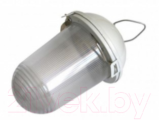 Светильник ЖКХ ЭРА Желудь / Б0052017 - фото