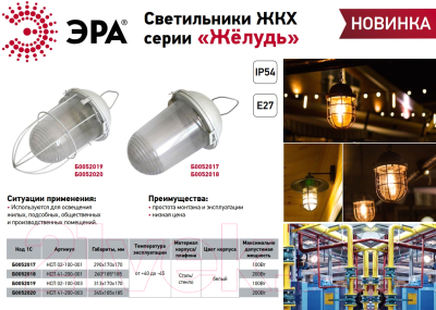 Светильник ЖКХ ЭРА Желудь / Б0052017
