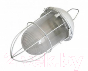 Светильник ЖКХ ЭРА Желудь / Б0052020 - фото