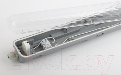 Светильник линейный ЭРА IP65 SPP-101-0-001-060 / Б0043654