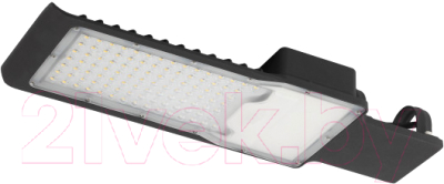 Светильник уличный ЭРА SPP-503-0-50K-100 / Б0043669 - фото