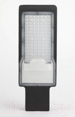 Светильник уличный ЭРА SPP-503-0-50K-100 / Б0043669