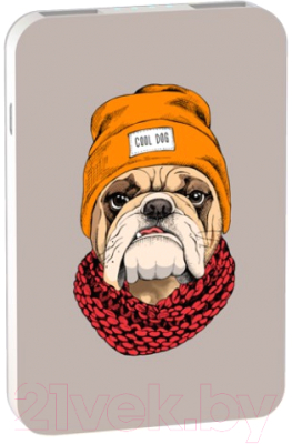 Портативное зарядное устройство Ritmix RPB-10007