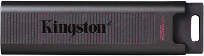 Usb flash накопитель Kingston Data Traveler Max 256Gb (DTMAX/256GB) - фото