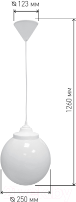 Потолочный светильник ЭРА НСБ 01-60-251 / Б0048086