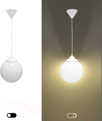 Потолочный светильник ЭРА НСБ 01-60-251 / Б0048086