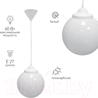 Потолочный светильник ЭРА НСБ 01-60-251 / Б0048086