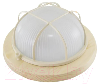 Светильник ЖКХ TDM SQ0303-0432 - фото