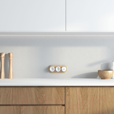 Рамка для выключателей и розеток Werkel W0035224 / a050994