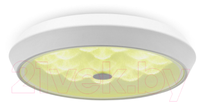 Потолочный светильник Freya FR10012CL-L24W