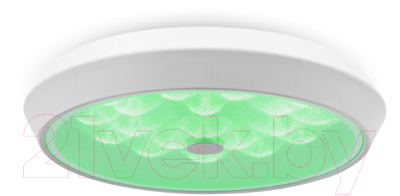 Потолочный светильник Freya FR10012CL-L24W